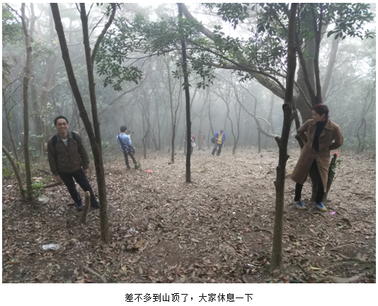 优培东方PMP学友深圳学友活动-爬梧桐山