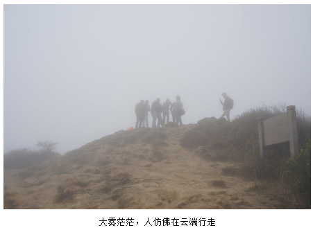 优培东方PMP学友深圳学友活动-爬梧桐山