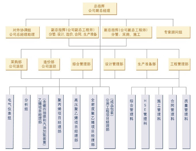 案例分析:兰州石化公司大乙烯建设项目案例