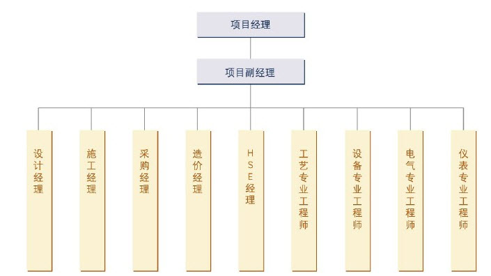 案例分析:兰州石化公司大乙烯建设项目案例
