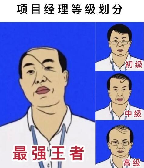职场升级:如何炼成最强王者项目经理