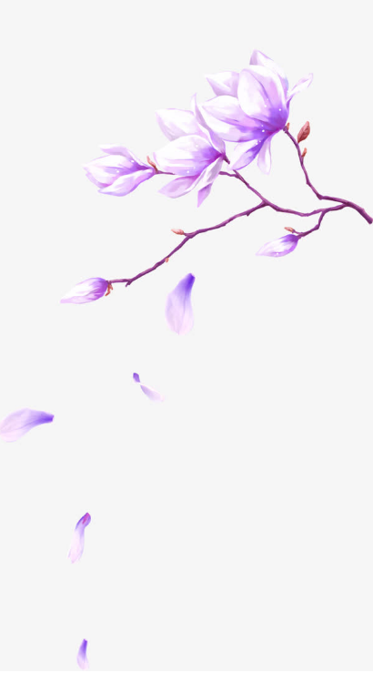 PMP认证考试几个问题(项目干系人管理)