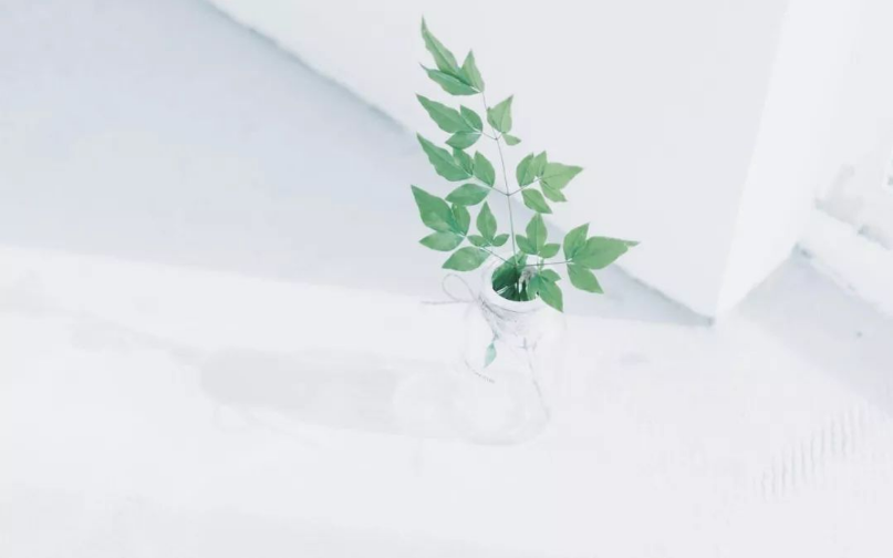 怎样做项目计划?
